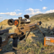 BLM Land 1
